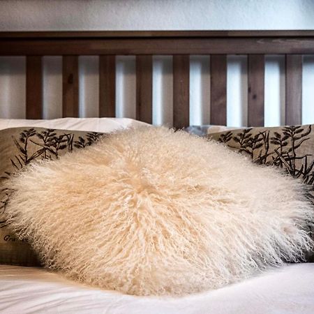 Casa Letizia Apartman Ponsacco Kültér fotó