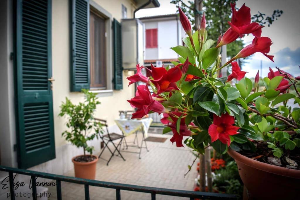 Casa Letizia Apartman Ponsacco Kültér fotó