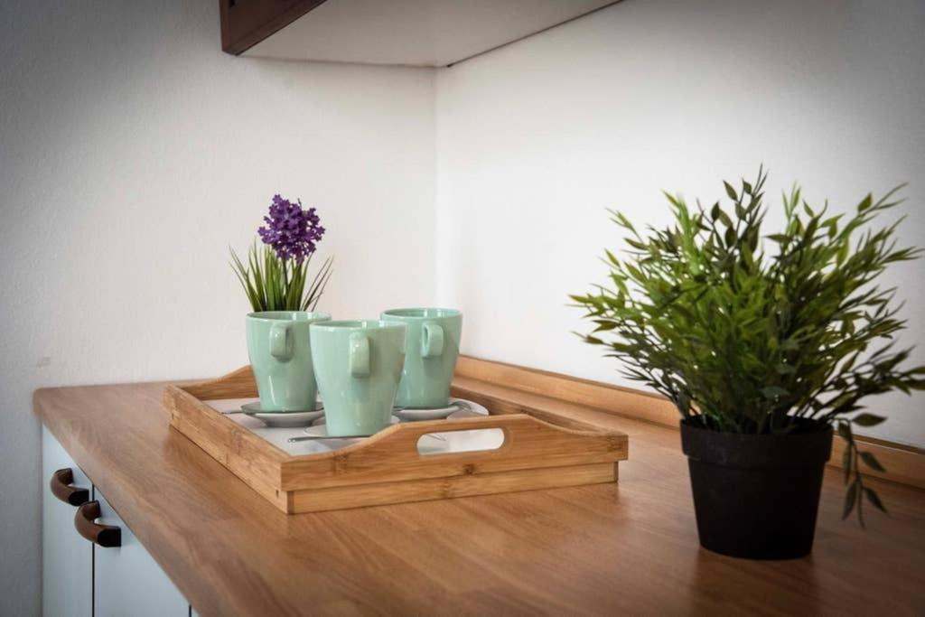 Casa Letizia Apartman Ponsacco Kültér fotó