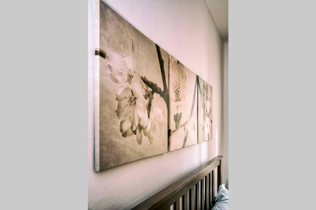 Casa Letizia Apartman Ponsacco Kültér fotó